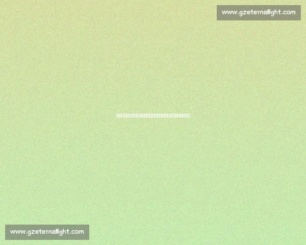 老将坚守在时代浪潮中以经验与信念托举团队迈向新征程并肩前行