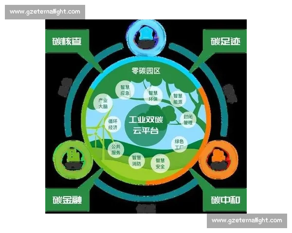 推进双碳目标实现路径探索与政策创新助力绿色低碳转型发展